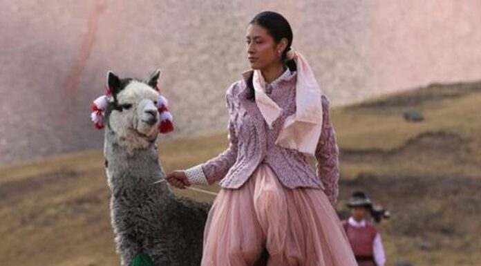 Sergio Dávila is set to host a historic fashion show at an elevation of 4,800 meters, a record-breaking feat.