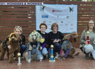 The Teen Leadership Council hosts a fun event featuring a Yappy Hour social gathering and a Pup Fashion Show.