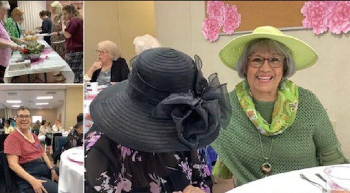 The 12th Annual Spring Fashion Show and Luncheon is an event celebrating the latest fashion trends.