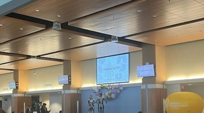 The third annual anatomy fashion show raised over $12,000 for a children’s hospital.