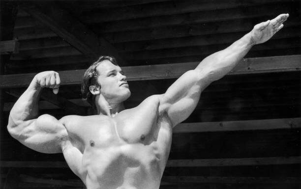 Arnold Schwarzenegger’s Take on Immigration: A Guest Stance That Stirs Debate