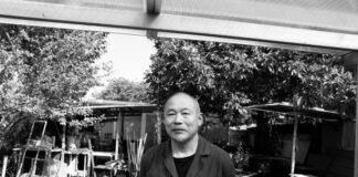 Behind the Scenes of Classic Elegance: Boston Symphony’s Musical Allure