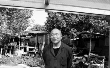 Behind the Scenes of Classic Elegance: Boston Symphony’s Musical Allure