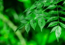 RAS Luxury Skincare Closes $7.5 Million Series B Funding Round